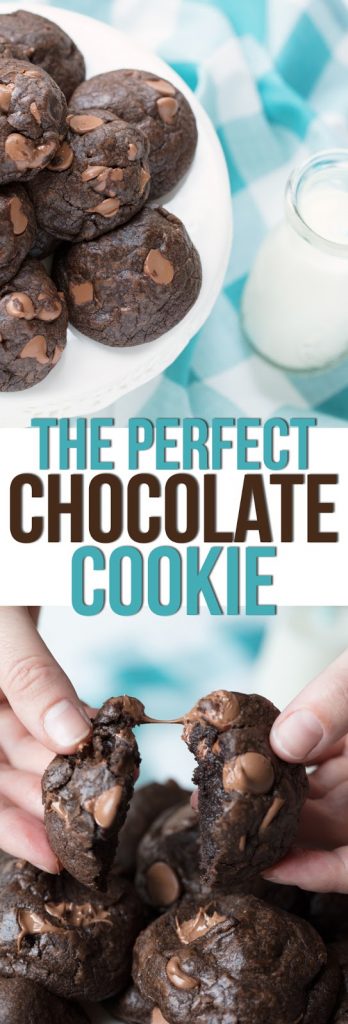 This is THE best chocolate cookie recipe. It makes cookies that are soft, thick, chewy and packed with decadent chocolate flavor. The best cookie recipe of all time!