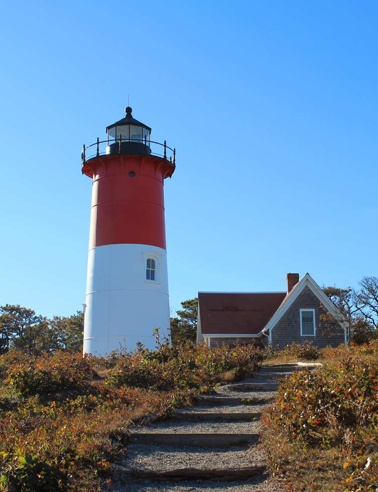 things to do in cape cod