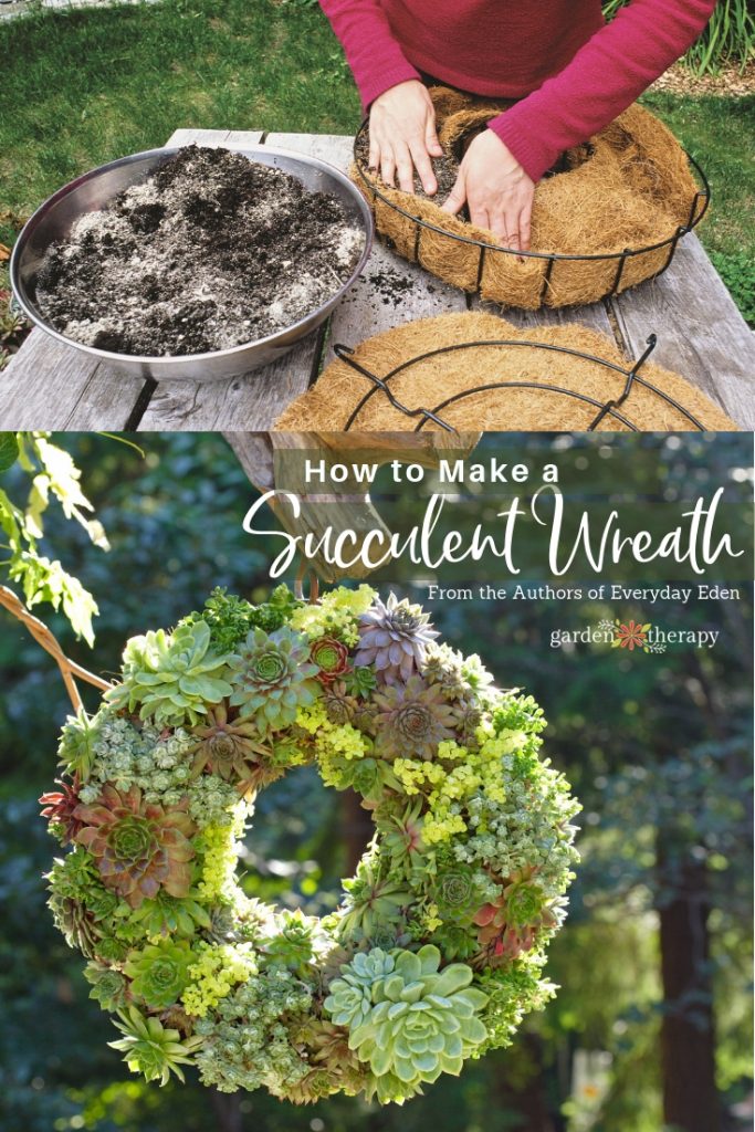 living succulent wreath tutorial