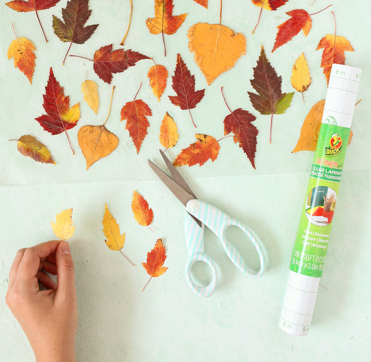 how to preserve fall leaves