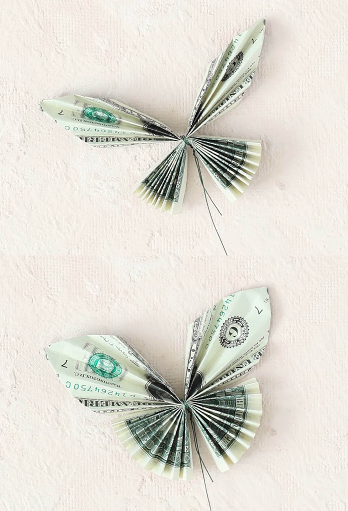 fluff the wings of the money butterfly