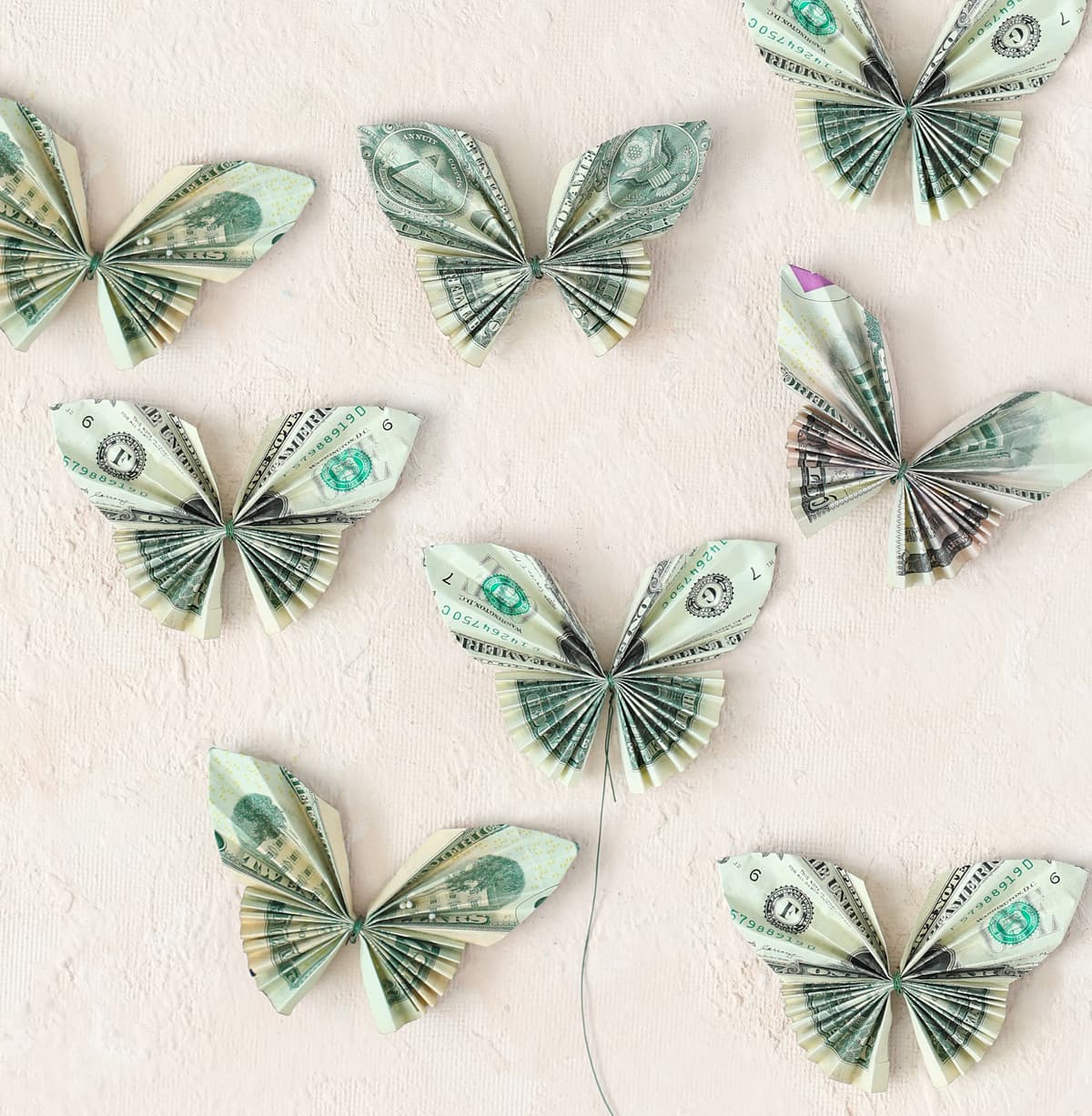 how to make money butterflies
